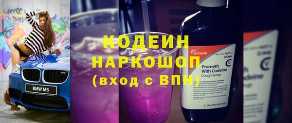 шишки Богородск