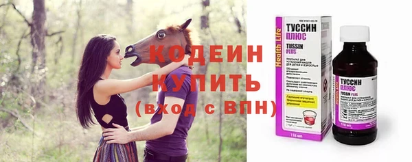 шишки Богородск