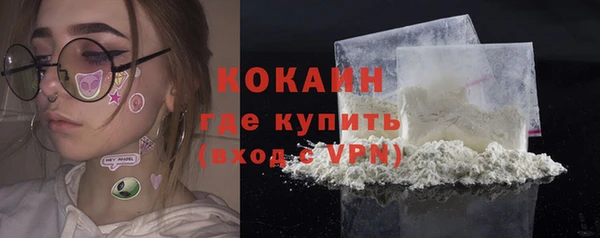 шишки Богородск