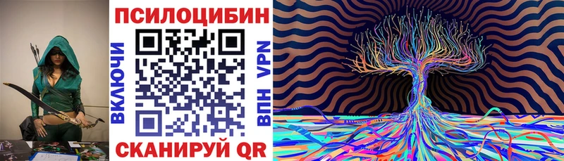 закладки  Весьегонск  Псилоцибиновые грибы ЛСД 